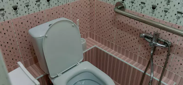 Meeting Diverse Needs With Accessible Restroom Solutions in Lake Stevens, WA